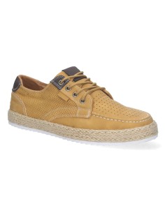 ZZ-79-Camel