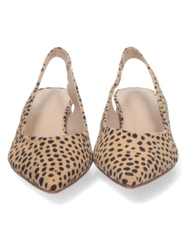 DB-2360-Leopardo