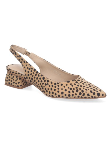 DB-2360-Leopardo