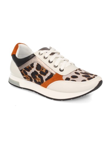 K1940004-Leopardo