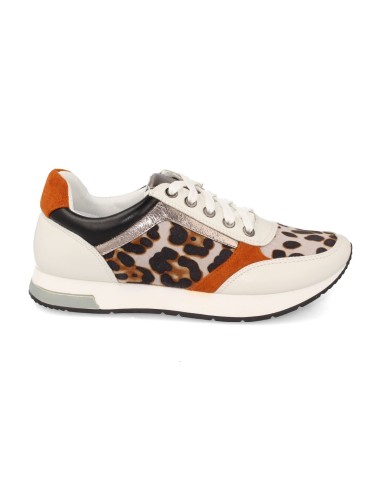 K1940004-Leopardo
