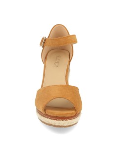 EY-19-Camel