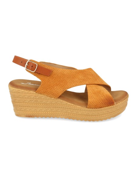 F20-22-Camel F20-22-Camel