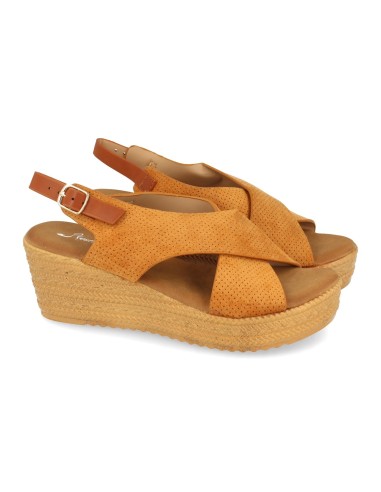 F20-22-Camel