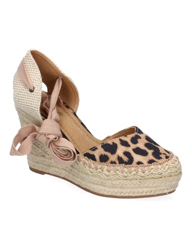 7Q9-Leopardo