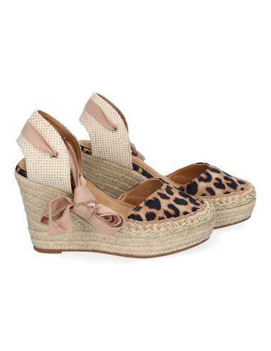 7Q9-Leopardo