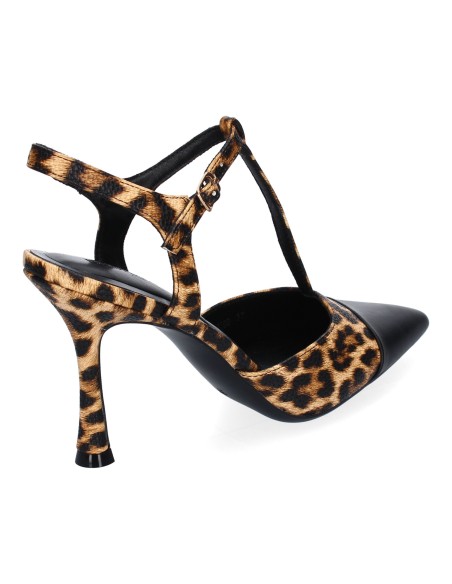 B-5098-Leopardo