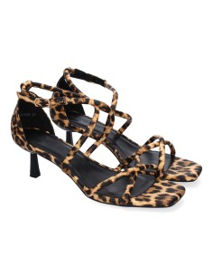 B-5099-Leopardo