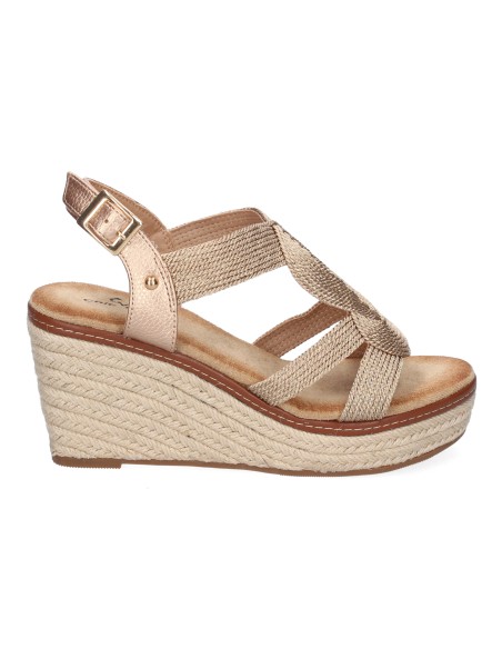 TF5326-Champan TF5326-Champan